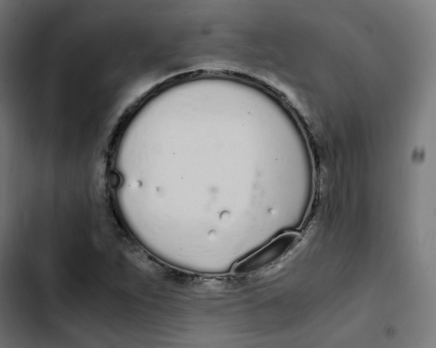 X0000103331263200809261152