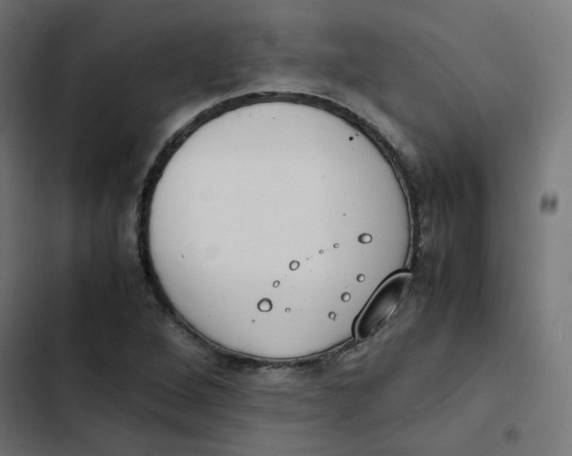 X0000103331264200809261152