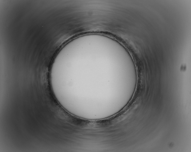 X0000103331265200809261152