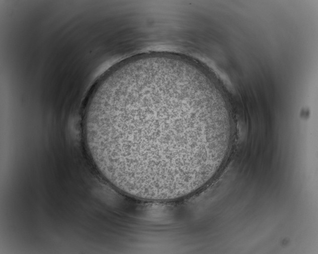 X0000103331266200809261152