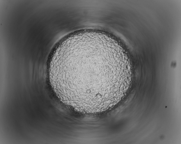 X0000103331267200809261152