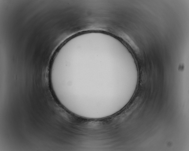 X0000103331268200809261152