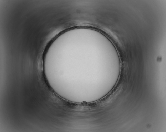 X0000103331269200809261152