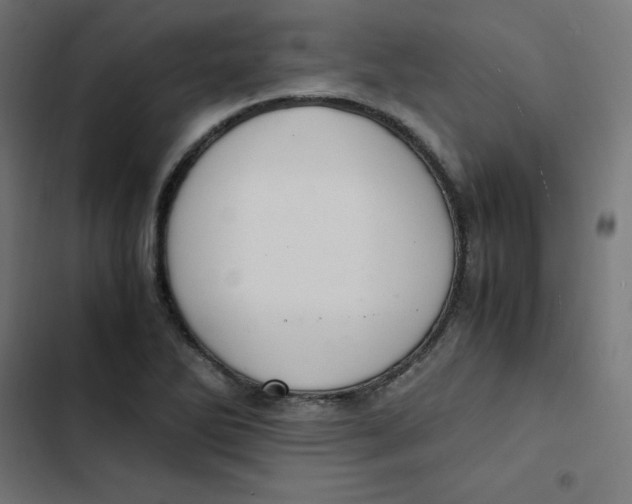 X0000103331270200809261152