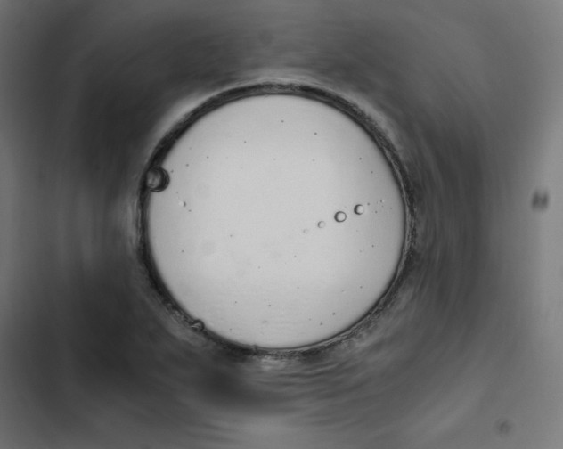 X0000103331271200809261152