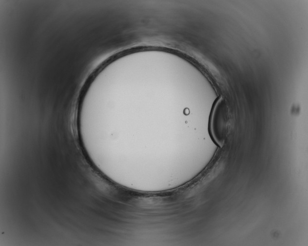 X0000103331272200809261152