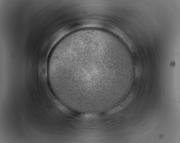 X0000103331274200809261152