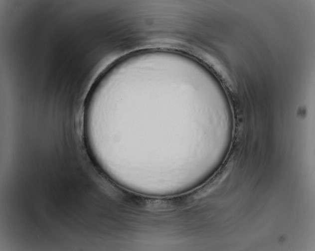 X0000103331275200809261152