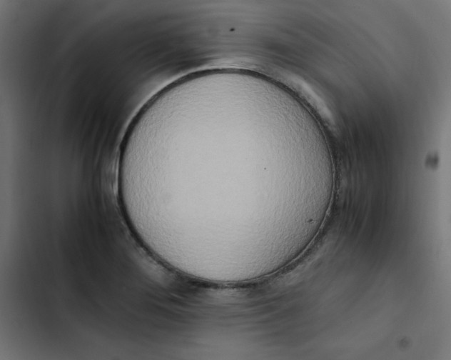 X0000103331276200809261152