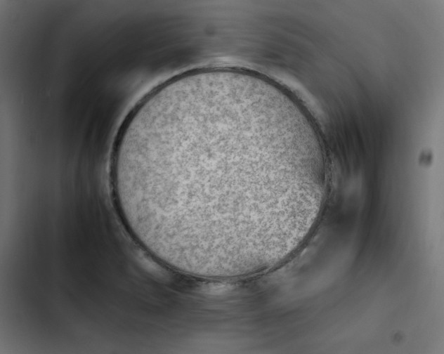 X0000103331278200809261152