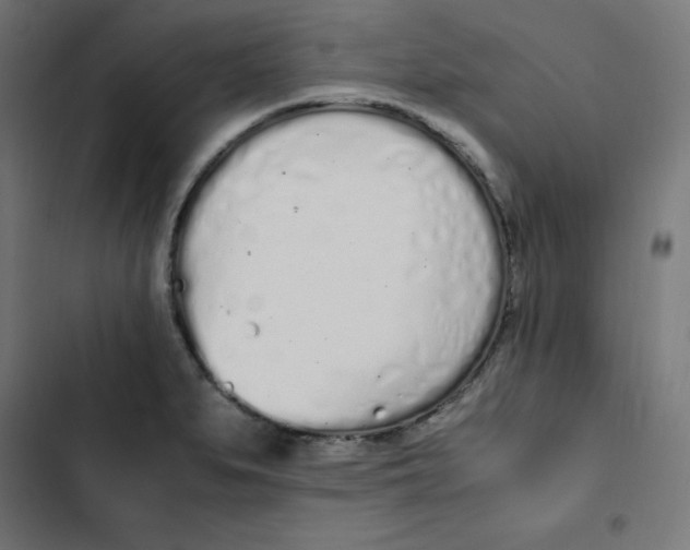 X0000103331279200809261152