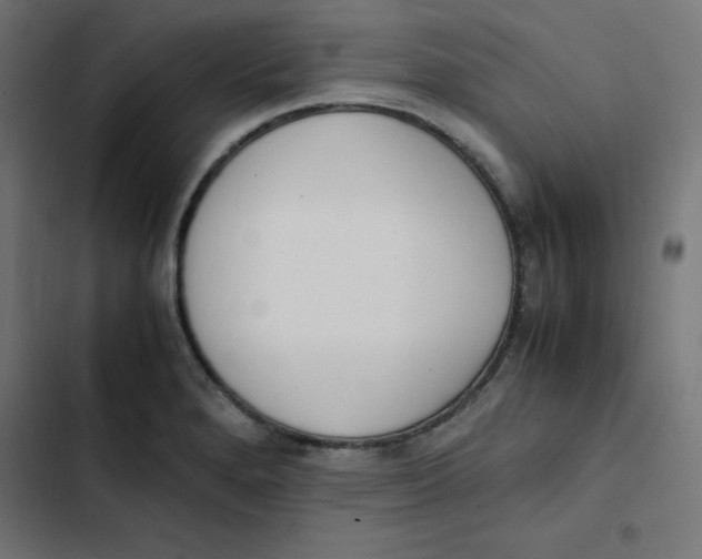 X0000103331280200809261152