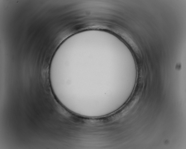 X0000103331281200809261152