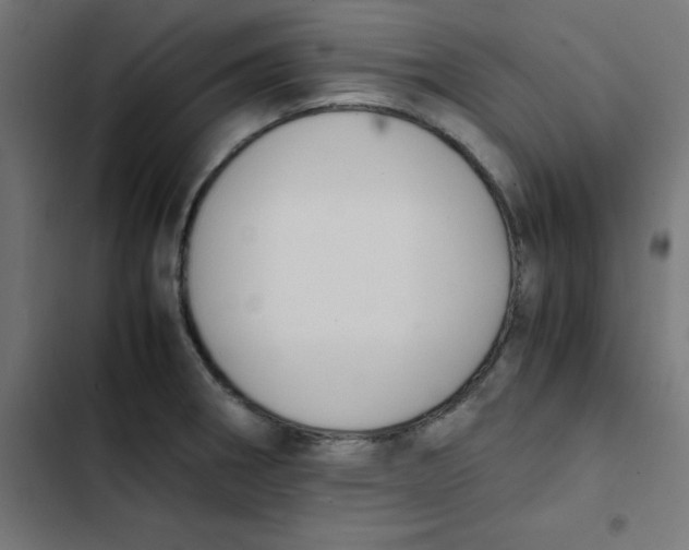 X0000103331282200809261152