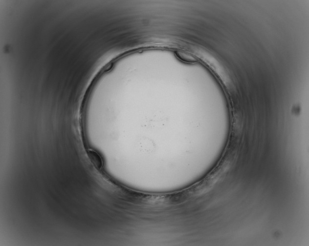 X0000103331283200809261152