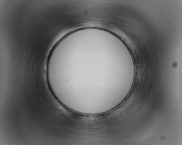 X0000103331286200809261152