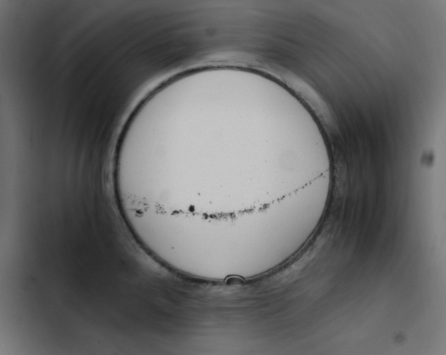 X0000103331288200809261152