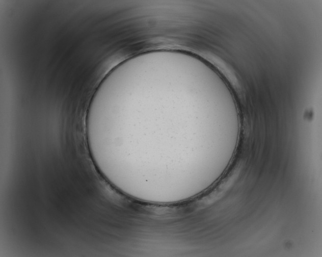 X0000103331289200809261152