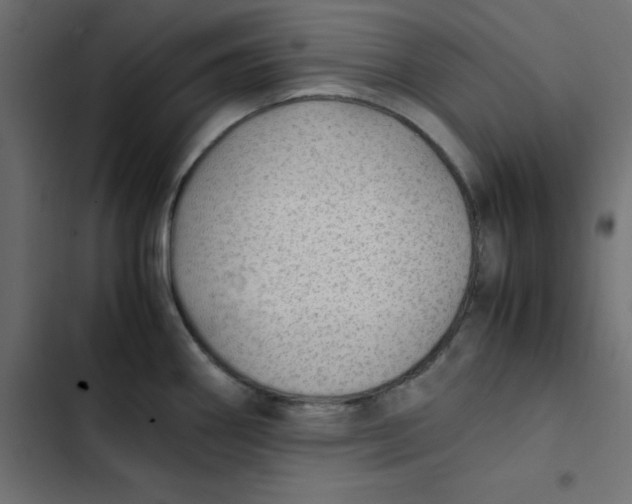 X0000103331290200809261152