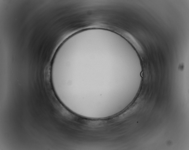 X0000103331292200809261152