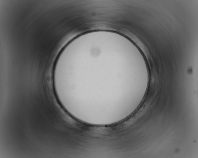 X0000103331293200809261152