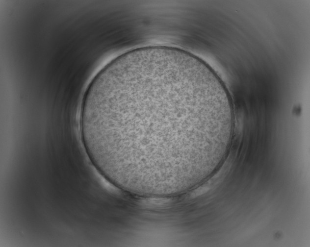 X0000103331294200809261152