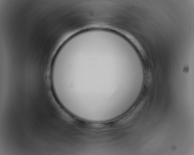 X0000103331295200809261152