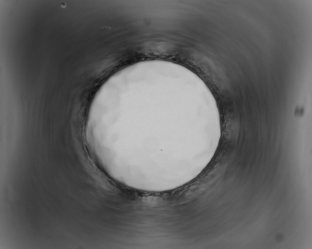 X0000103331297200809261151