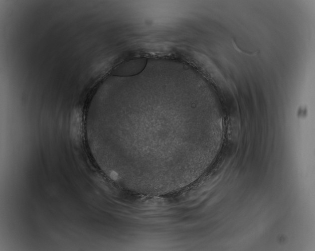 X0000103331298200809261151