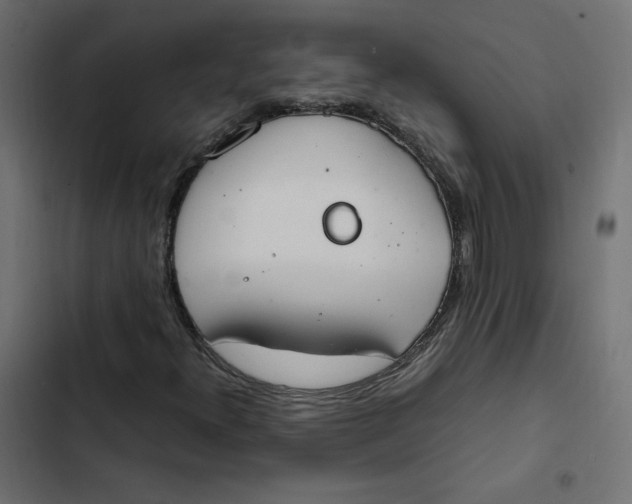 X0000103331300200809261151