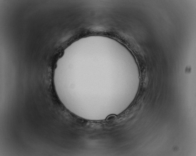 X0000103331301200809261151