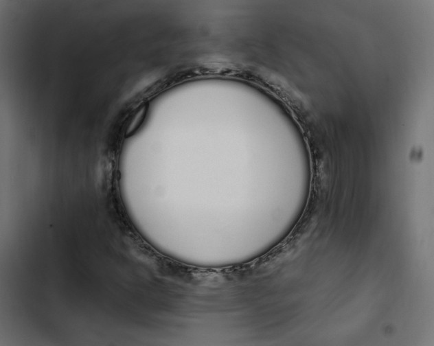 X0000103331302200809261151