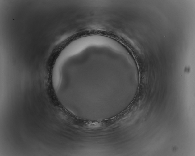 X0000103331303200809261151