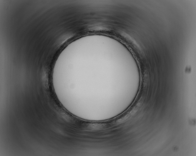 X0000103331305200809261151