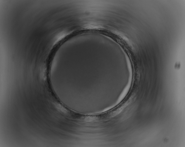 X0000103331306200809261151