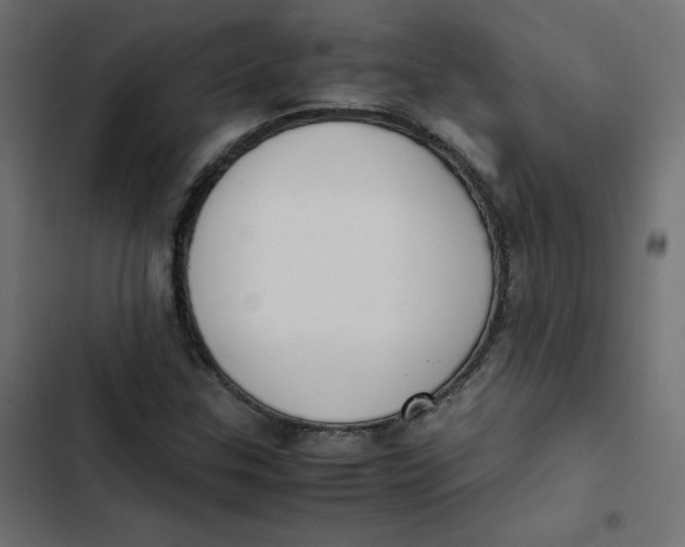 X0000103331307200809261151