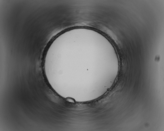 X0000103331308200809261151