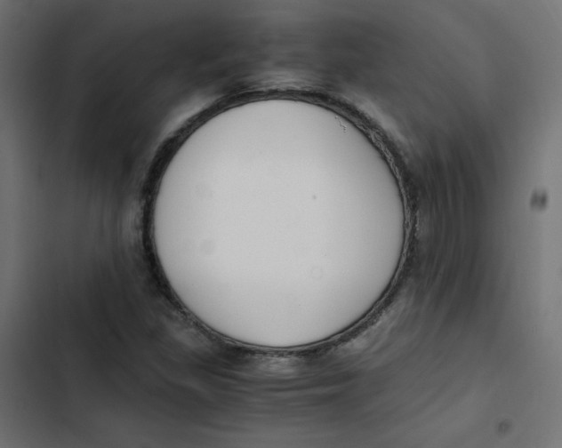 X0000103331309200809261151