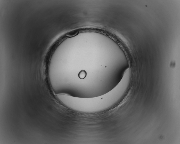 X0000103331310200809261151