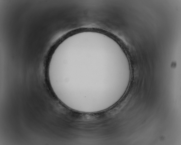 X0000103331311200809261151