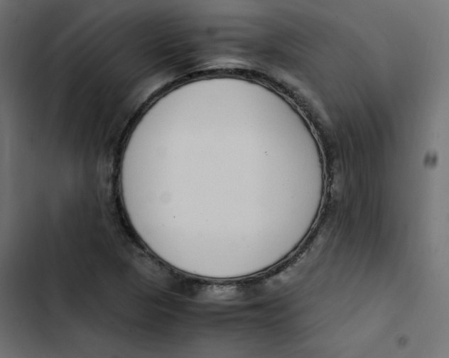 X0000103331313200809261151