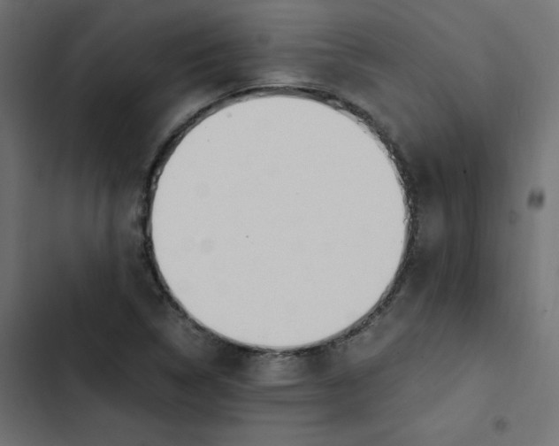 X0000103331314200809261151