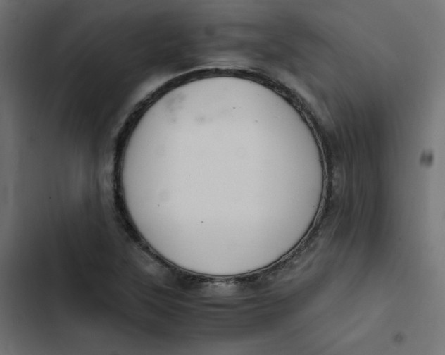 X0000103331315200809261151