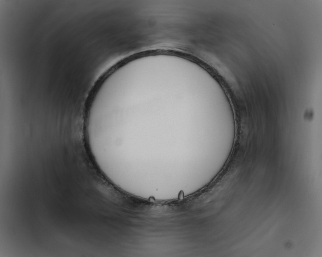 X0000103331316200809261151