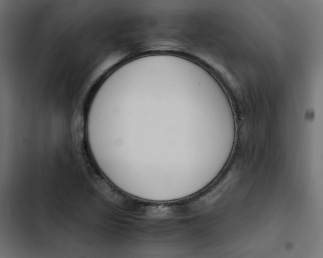 X0000103331317200809261152