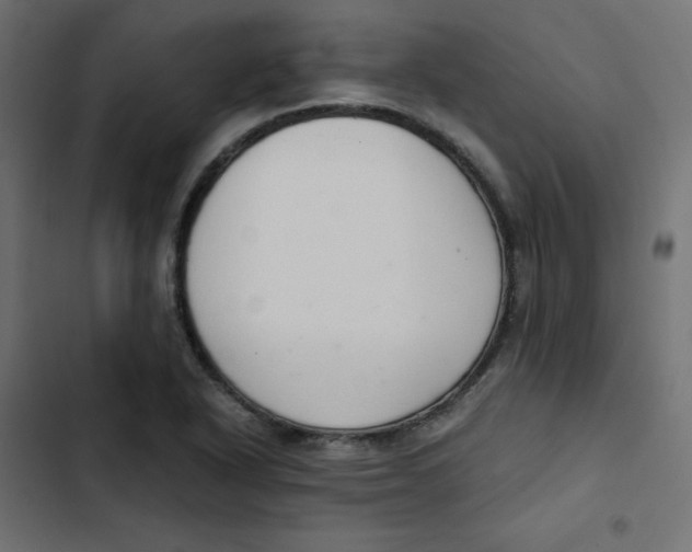 X0000103331318200809261152