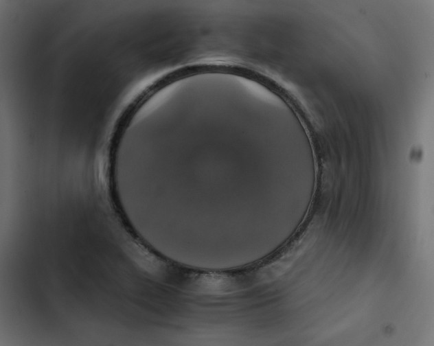 X0000103331319200809261152