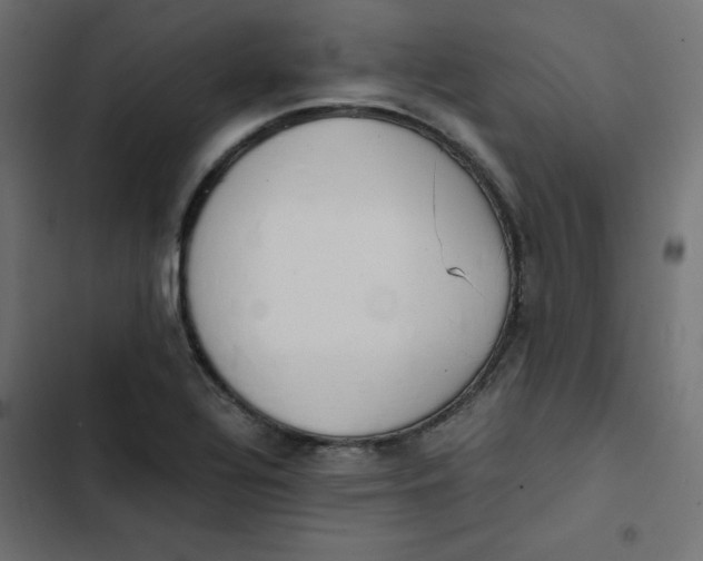 X0000103331320200809261152