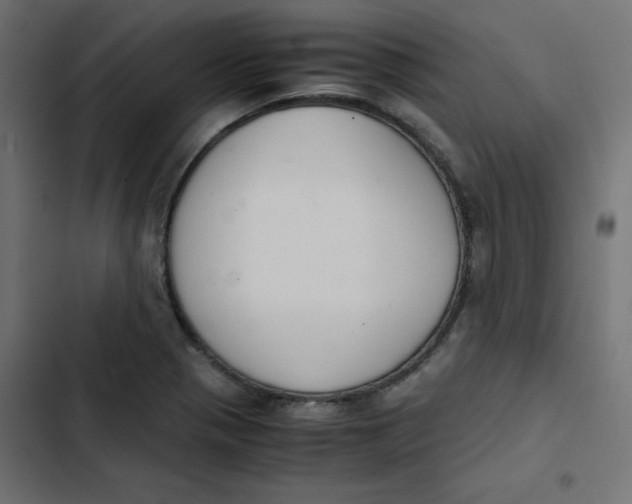 X0000103331321200809261152