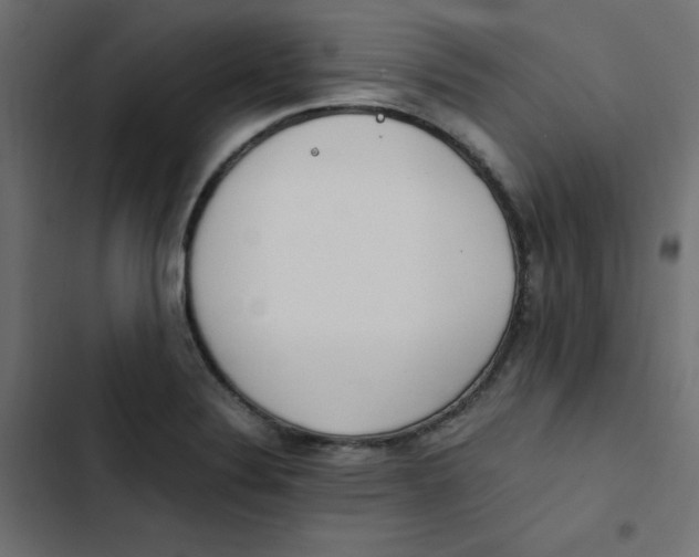 X0000103331324200809261152